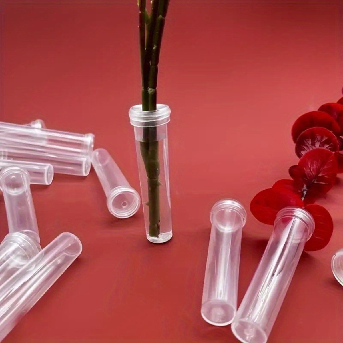 10Pc Transparent Plastic Flora - đánh giá và giá Wedding Supply Decor